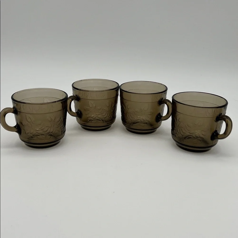 Rigolleau “Flor Colonial” ftSmoky Glass Cups Floral Industria Argentina (Set of